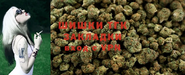 мдпв Лабытнанги