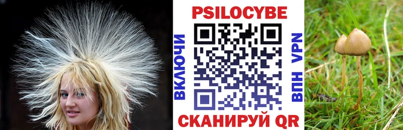 Галлюциногенные грибы Psilocybine cubensis  Николаевск-на-Амуре 